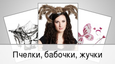 Пчелки, бабочки, жучки