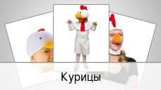 Курицы