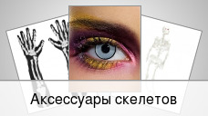 Аксессуары скелетов