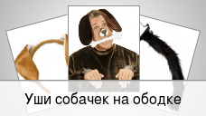 Уши собачек на ободке