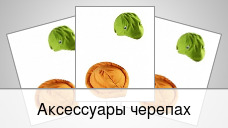 Аксессуары черепах