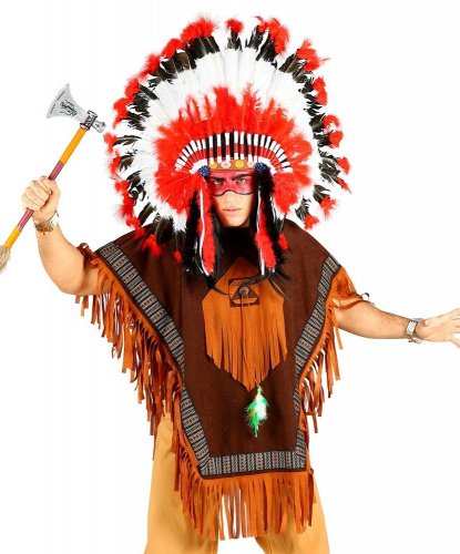 Индейцы в национальных костюмах