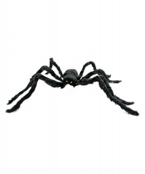 Большой мохнатый паук