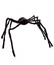 Черный мохнатый паук