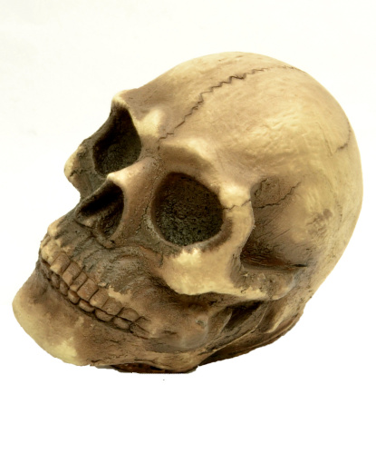 Латексный череп 10х13 см