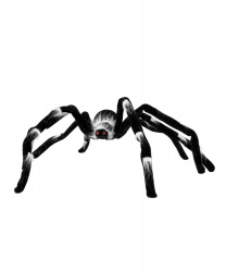 Большой паук с длинными лапками