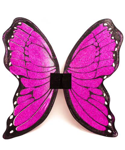 Блестящие крылья бабочки: 50 х 50 (Италия)