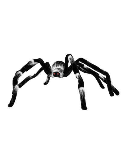 Большой паук с длинными лапками