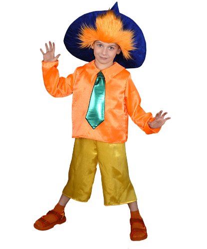 Карнавальный костюм Незнайки для мальчика: головной убор, галстук, сорочка, брюки (Россия)