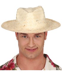 Соломенная шляпа 