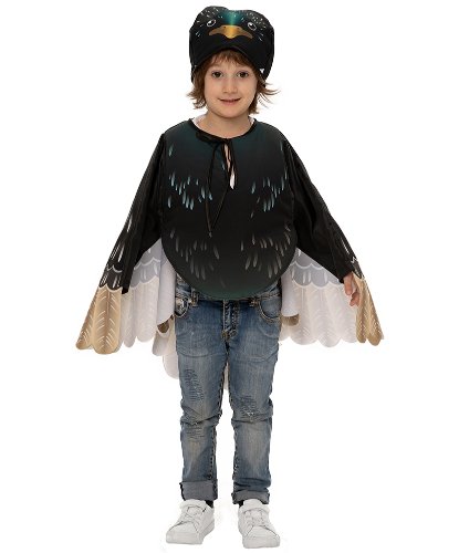 Детский костюм Скворец: Накидка, шапочка (Россия)