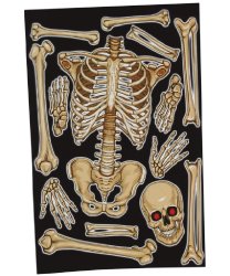 Декоративная наклейка на стекло "Скелет", 30х40 см