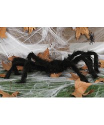 Черный мохнатый паук, 60 см