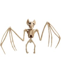 Скелет летучей мыши, 30х16 см