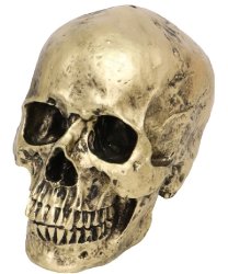 Бронзовый череп (18х14х11 см)