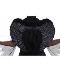 Черные крылья (60 х 45 см)