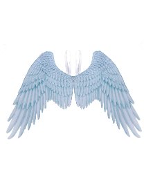 Крылья Белого Ангела 