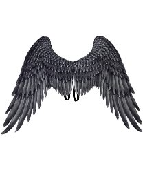 Крылья Черного Ангела