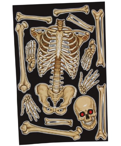 Декоративная наклейка на стекло Скелет, 30х40 см