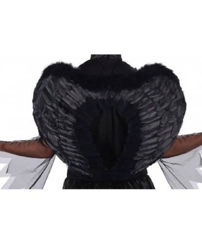 Черные крылья (60 х 45 см): 60 х 45 см (Франция)