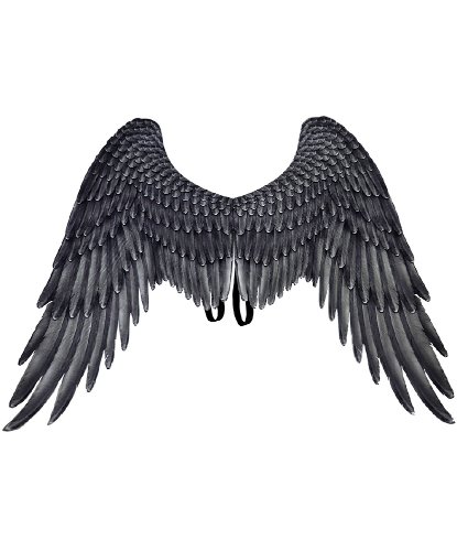 Крылья Черного Ангела: 75х105 см (Китай)