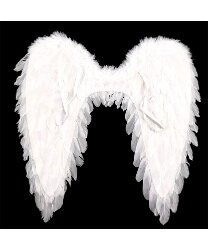 Белые крылья Ангела (80 х 60 см)