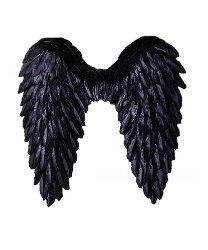 Чёрные крылья из перьев (80 х 60 см)