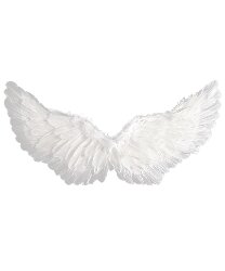 Белые крылья ангела (60 х 35 см)