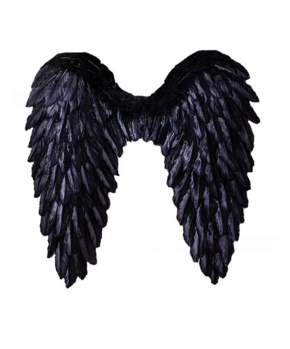 Чёрные крылья из перьев (80 х 60 см): 80 х 60 см (Китай)