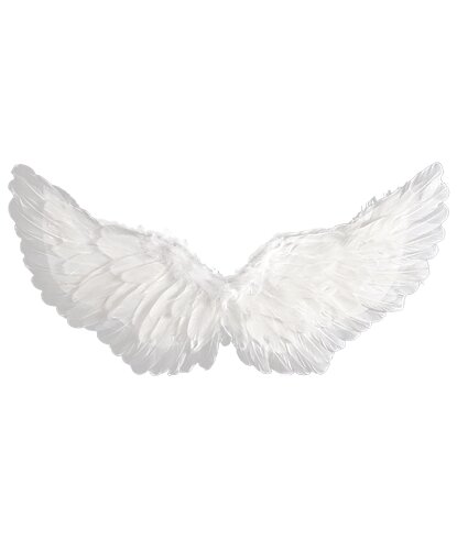 Белые крылья ангела (60 х 35 см): 60 х 35 (Китай)