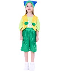 Детский карнавальный костюм Гномик "Тоша"