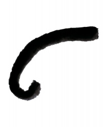 Кошачий хвост