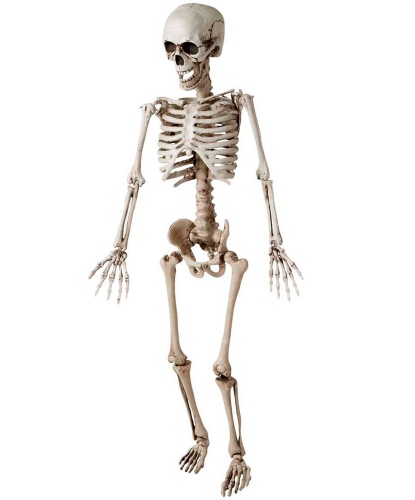 Декоративный скелет (120 см)