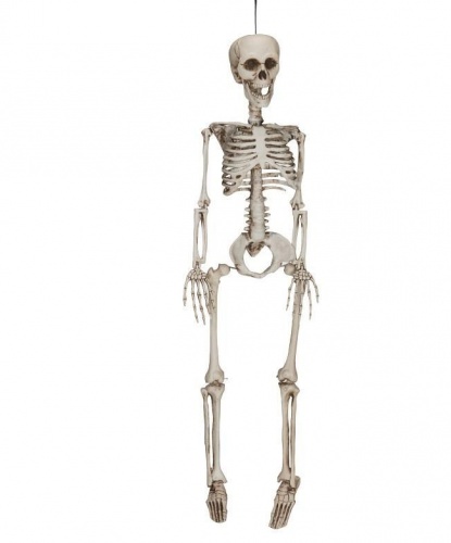 Декорация «Скелет» (60 см). (Германия)