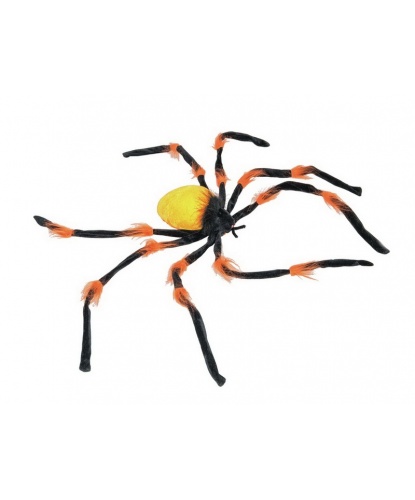 Большой оранжевый паук