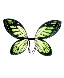Зеленые крылья бабочки