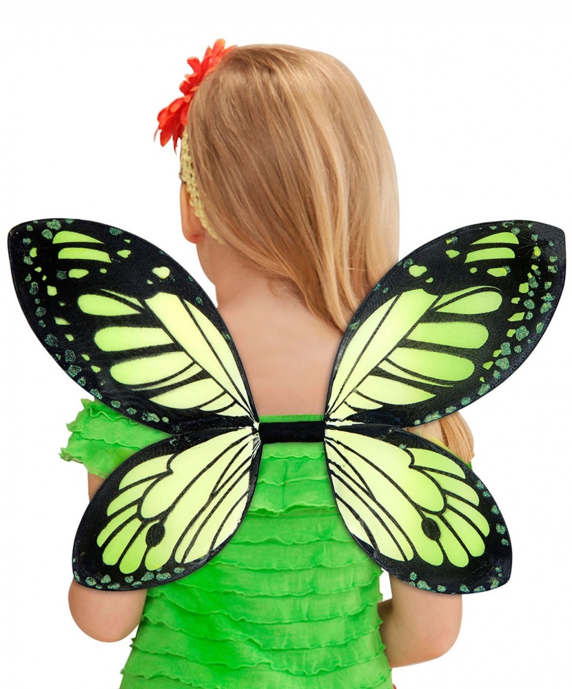 Зеленые крылья бабочки 